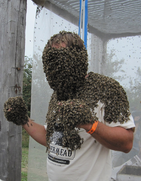 Does the bald faced hornet sting?